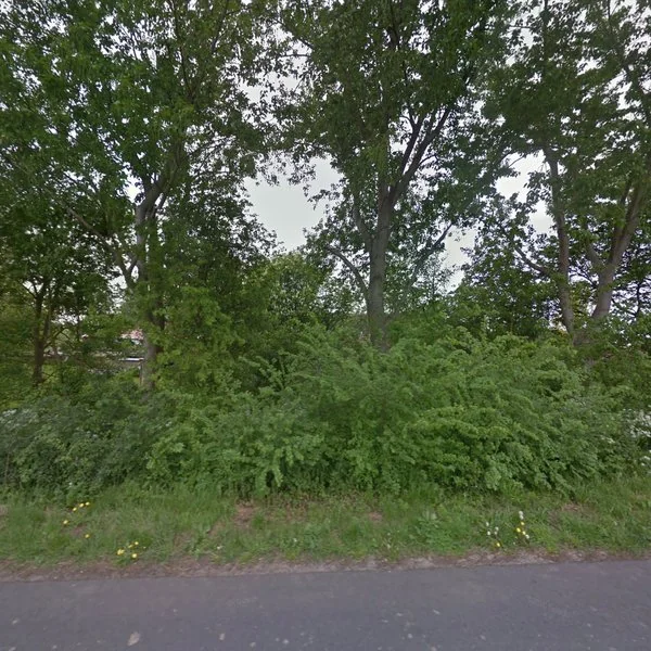 Straatbeeld van Langesteinseweg 2, 2967GL Langerak
