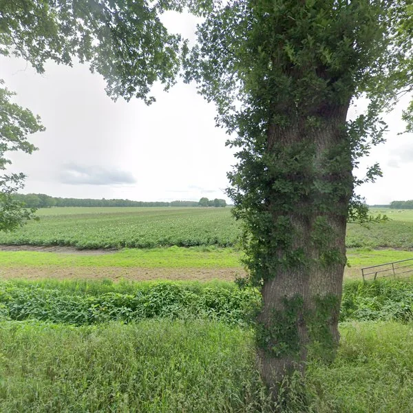 Straatbeeld van Leemweg 21, 8395TK Steggerda