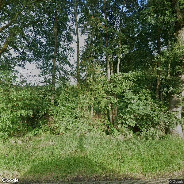 Straatbeeld van Legeloane 4, 9284XN Augustinusga