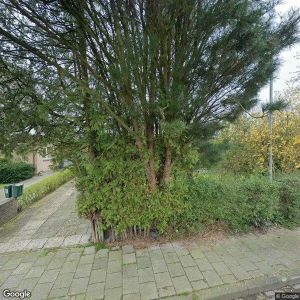 Straatbeeld van Leliestraat 11, 9951GH Winsum