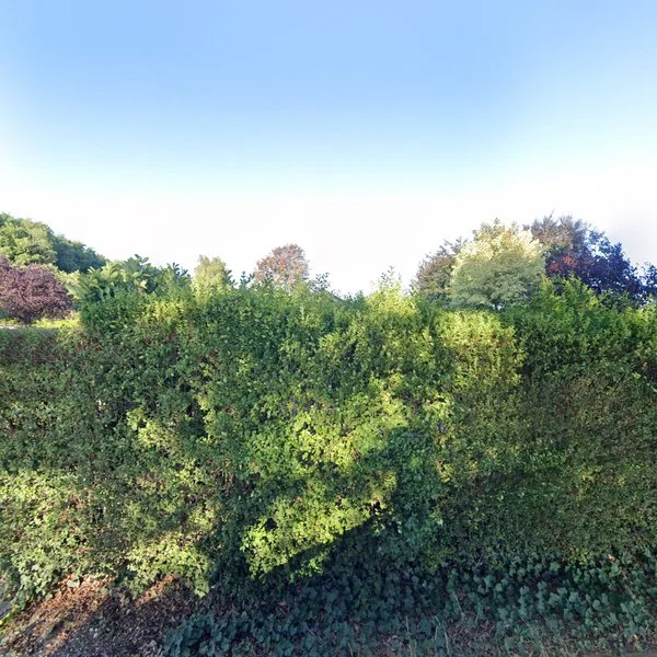 Straatbeeld van Lendersgat 10a, 5476VR Vorstenbosch