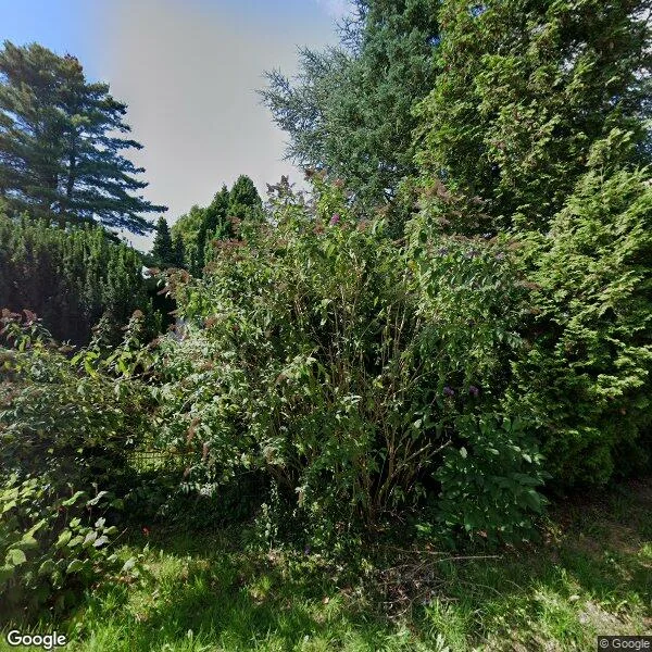 Straatbeeld van Lijsterweg 6, 5941AR Velden