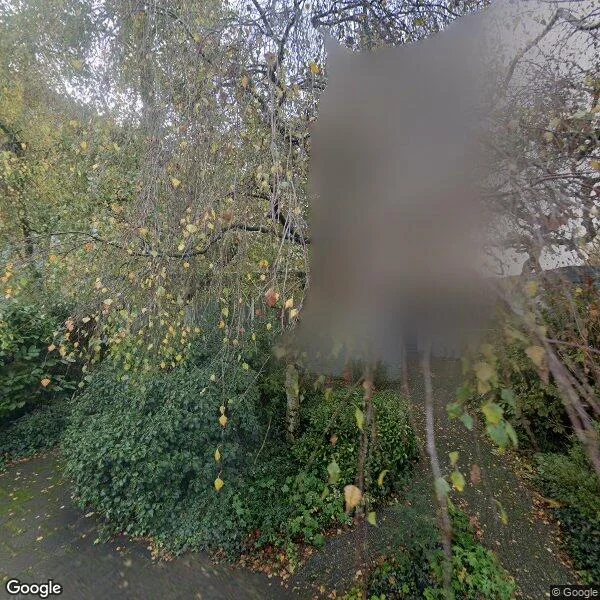 Straatbeeld van Linnaeusdreef 66, 3621XX Breukelen