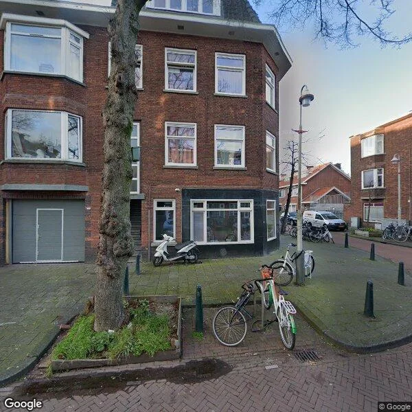 Straatbeeld van Linnaeusstraat 295, 2522GP Den Haag