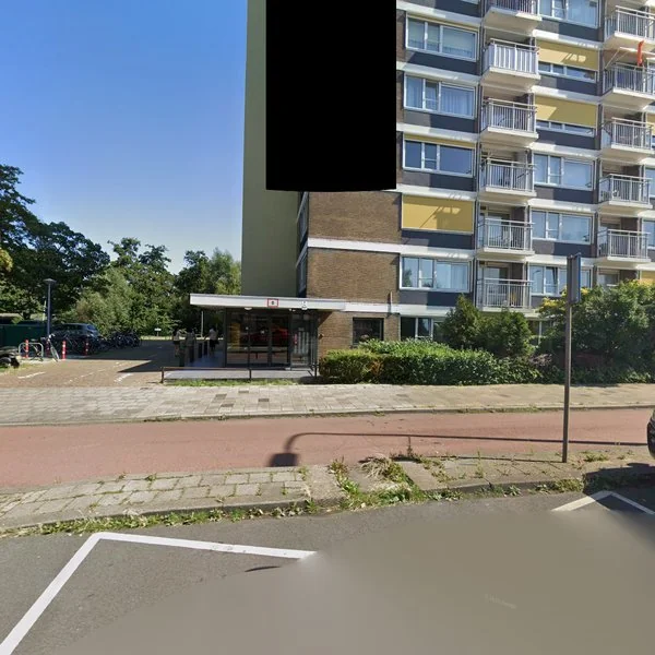 Straatbeeld van Loevesteinlaan 142, 2533AW Den Haag