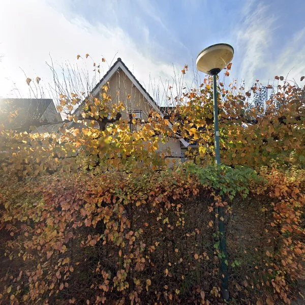 Straatbeeld van Longkruid 2, 3621TX Breukelen