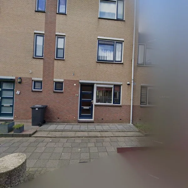 Straatbeeld van Mantelmeeuw 3, 2678XN De Lier