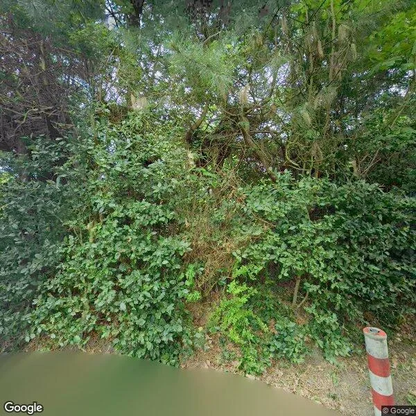 Straatbeeld van Marijkeweg 16, 3253BP Ouddorp
