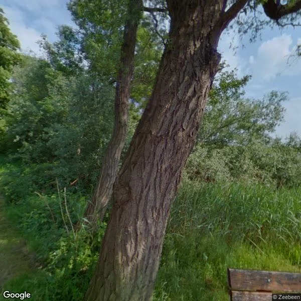 Straatbeeld van Meerkade 6, 1399PL Muiderberg