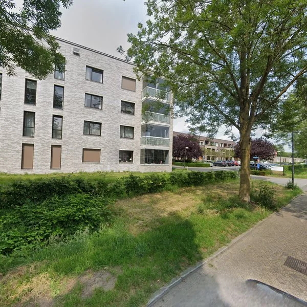 Straatbeeld van Merpatistraat 3010, 5262ZX Vught