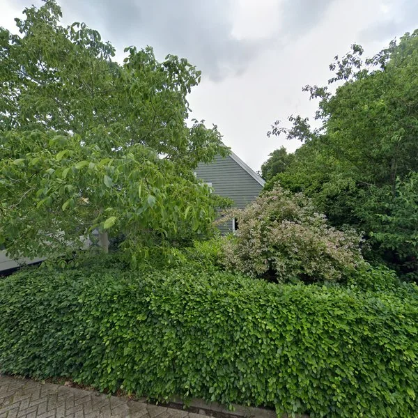 Straatbeeld van Mickelhorst 13, 7961DC Ruinerwold