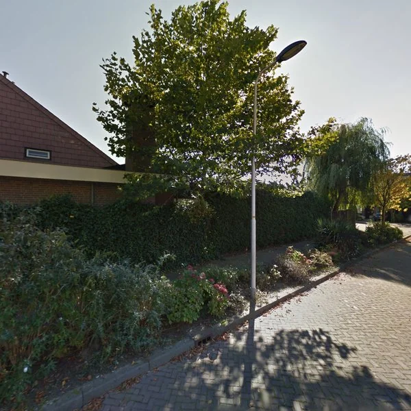Straatbeeld van Moerbeiboom 10, 4101WD Culemborg