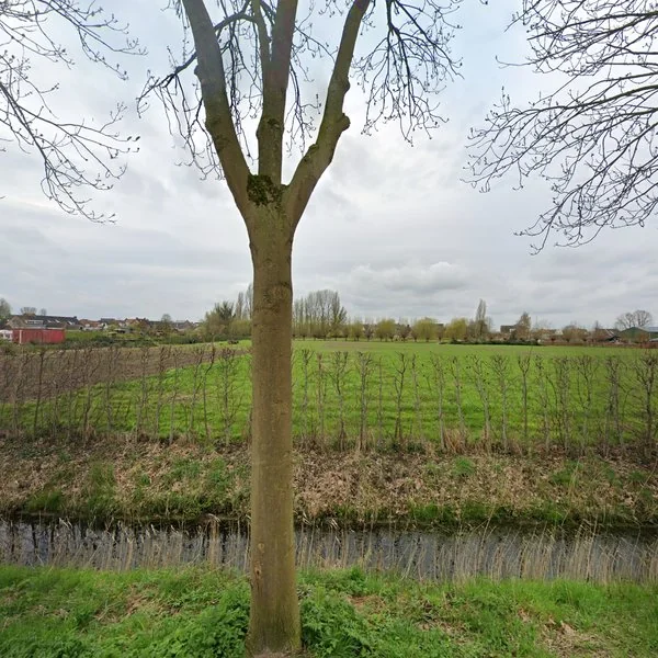 Straatbeeld van Molenweel 20, 4844JA Terheijden