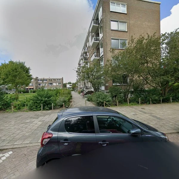 Straatbeeld van Narcislaan 251, 2555LM Den Haag