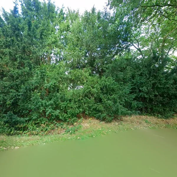 Straatbeeld van Nieuwe Schoolweg 14, 7645AV Hoge Hexel