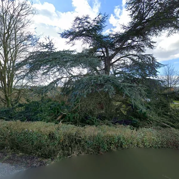 Straatbeeld van Noldijk 4, 2991VK Barendrecht