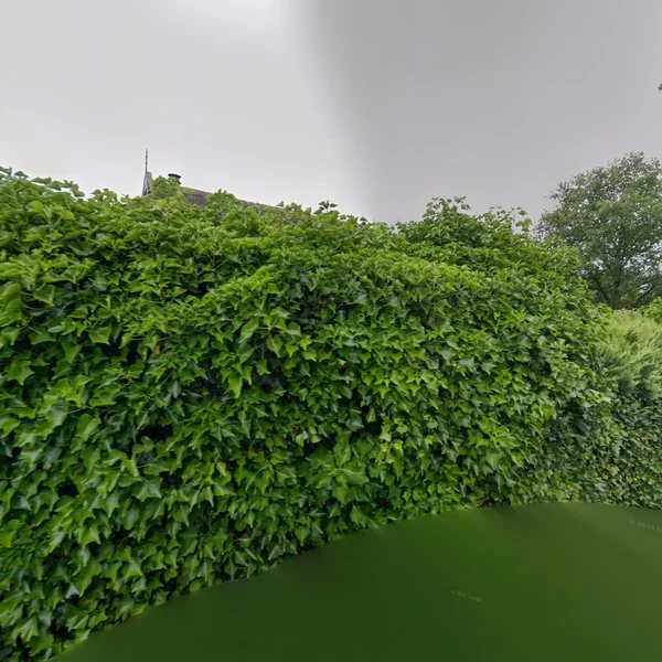 Straatbeeld van Oosterdallaan 1, 8378GG Paasloo