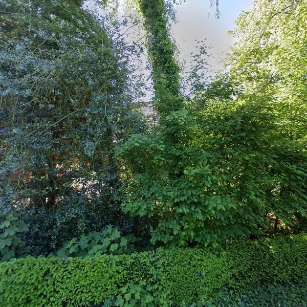 Straatbeeld van Oranjepark 17, 9645NT Veendam