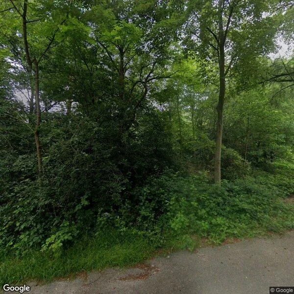 Straatbeeld van Overbosch 19, 3853KD Ermelo