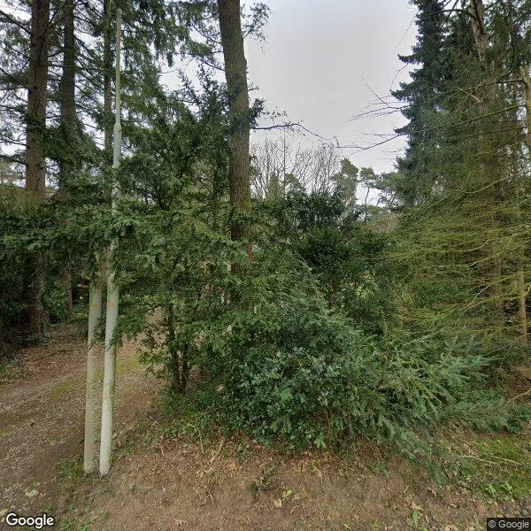 Straatbeeld van Papenpad 22, 6705CP Wageningen