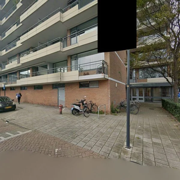 Straatbeeld van Papiermolen 102, 2317SX Leiden