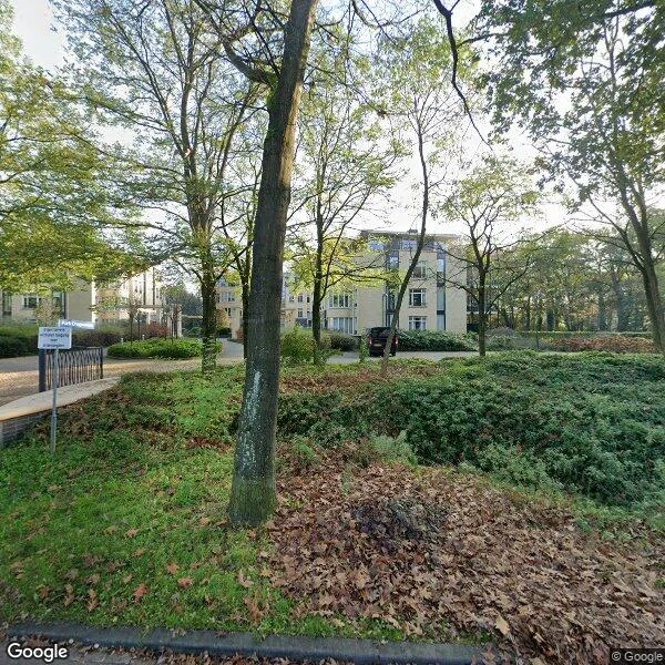Straatbeeld van Park Craijenstein 34, 5263ER Vught
