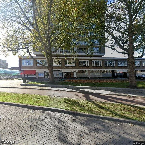 Straatbeeld van Parkweg 228, 3119CR Schiedam