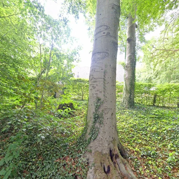 Straatbeeld van Parkweg 5, 6815DJ Arnhem