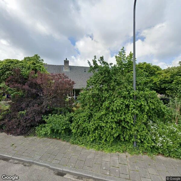 Straatbeeld van Peter van Anrooylaan 37, 6952CW Dieren