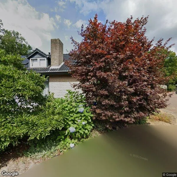Straatbeeld van Pieter Mondriaanstraat 3, 5854GA Bergen L