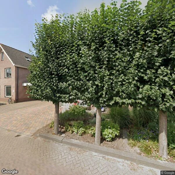 Straatbeeld van Pinksterbloem 33, 7772NK Hardenberg