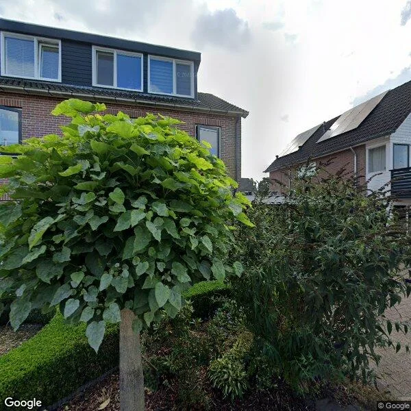 Straatbeeld van Pinksterbloem 4, 7772NJ Hardenberg