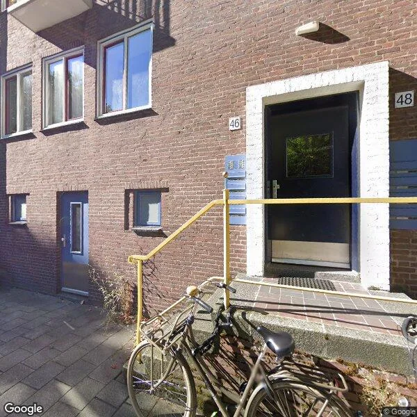 Straatbeeld van Platanenweg 46-1, 1091KV Amsterdam