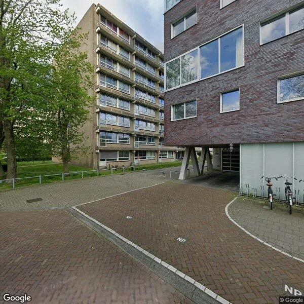 Straatbeeld van Platinalaan 239, 9743GL Groningen