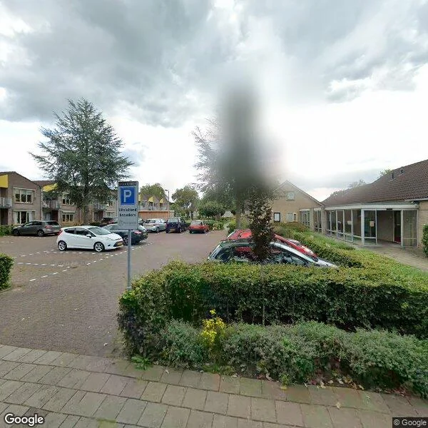 Straatbeeld van Pleijendal 51, 7721DW Dalfsen
