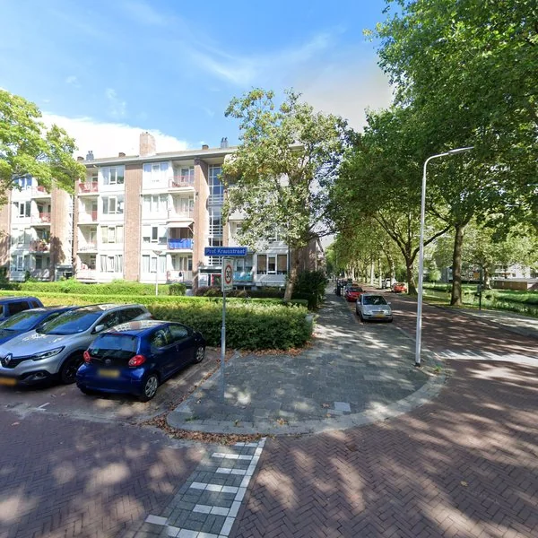 Straatbeeld van Prof. Krausstraat 117, 2628JS Delft