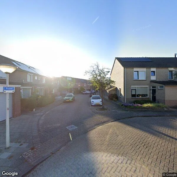 Straatbeeld van Prunus 17, 5682EH Best