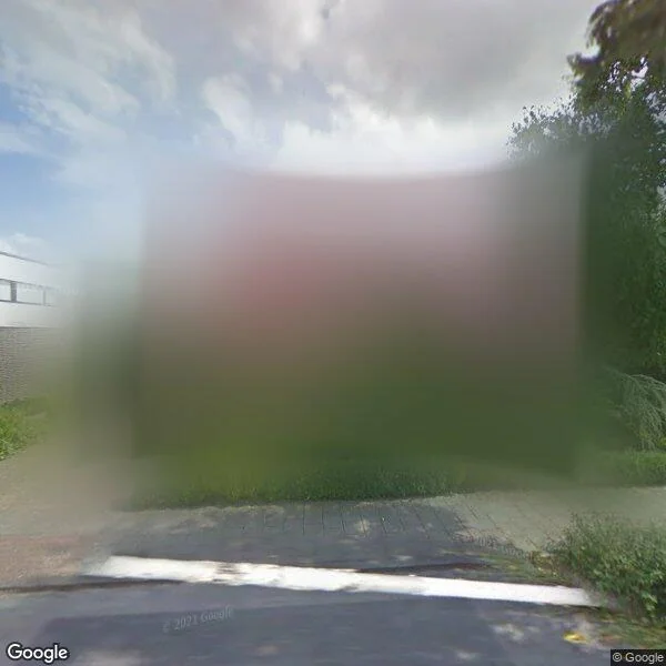 Straatbeeld van Raakheuvel 13, 5685BP Best