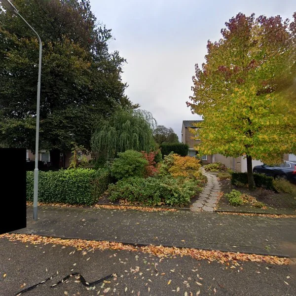 Straatbeeld van Randenborgweg 48, 6118GE Nieuwstadt