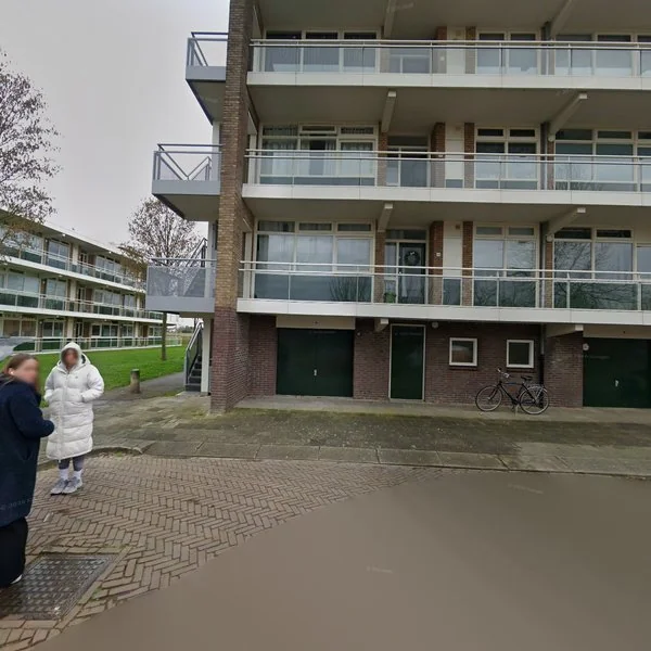 Straatbeeld van Reijersstraat 50, 6661GV Elst