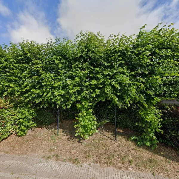 Straatbeeld van Rhabergseweg 26, 7224NB Rha