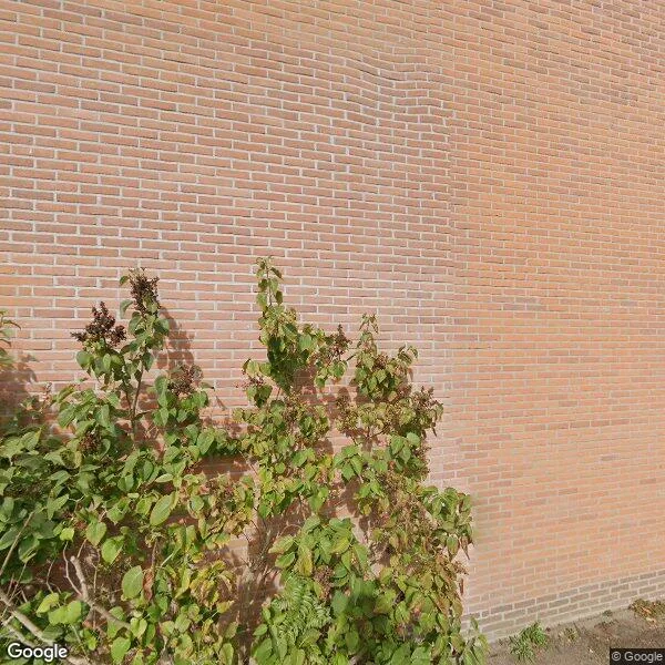 Straatbeeld van Ribespad 41, 3852GL Ermelo