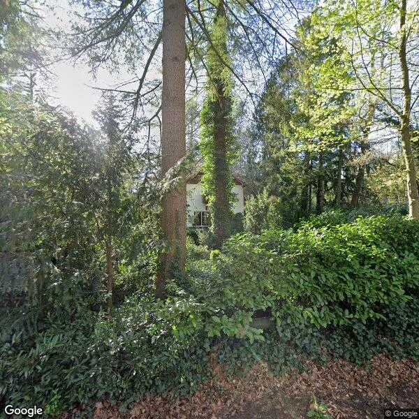 Straatbeeld van Rietberglaan 4, 8162NE Epe
