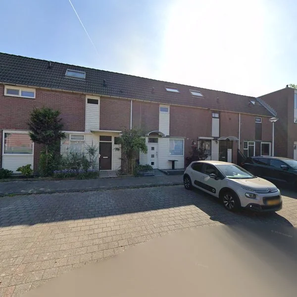 Straatbeeld van Rietsnijder 29, 3201GE Spijkenisse