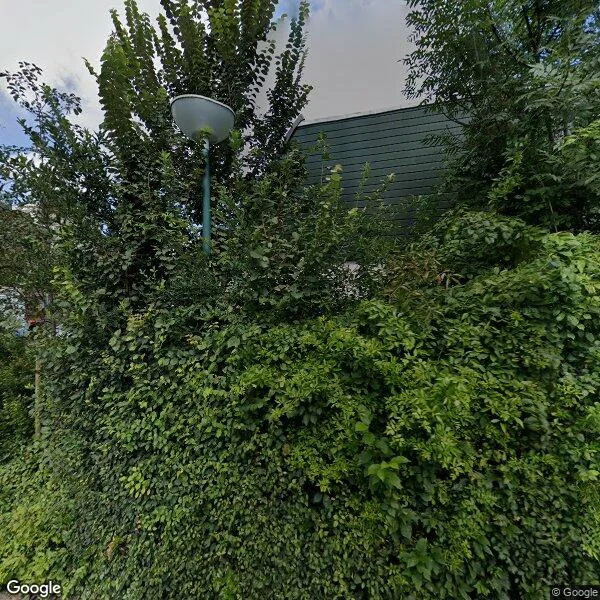 Straatbeeld van Rietspinner 29a, 3831DP Leusden