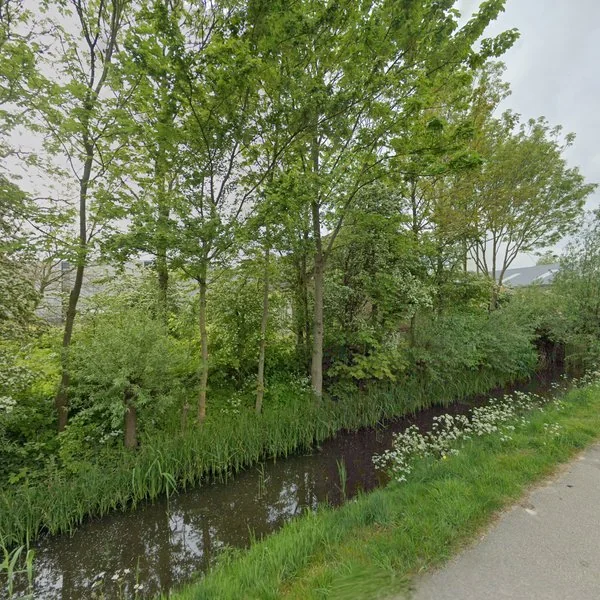 Straatbeeld van Rijksstraatweg 113, 3316EG Dordrecht