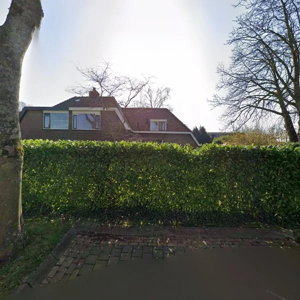 Straatbeeld van Rijsdijk 36, 3161HP Rhoon