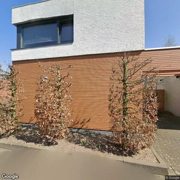 Straatbeeld van Rijstveld 19, 5351ME Berghem