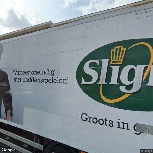 Straatbeeld van Rijswijkseweg 339, 2516HH Den Haag