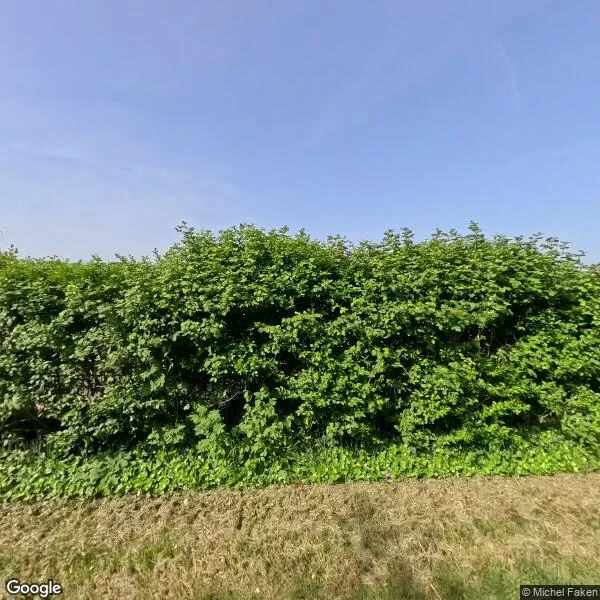 Straatbeeld van Ringdijk Noord 22A, 4506HB Cadzand